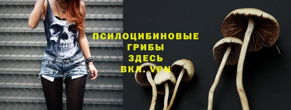 сатива Михайловск