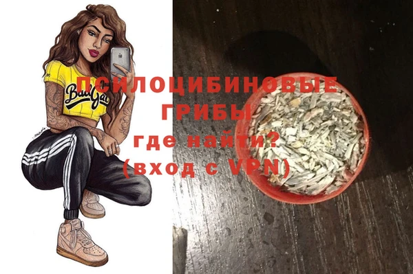 сатива Михайловск