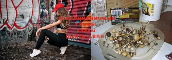 мдпв Медвежьегорск