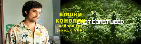PSILOCYBIN Дмитриев