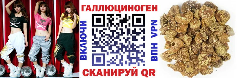 что такое   Жиздра  Псилоцибиновые грибы GOLDEN TEACHER 